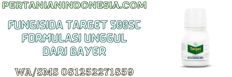 fungisida,target,target 500 sc,bayer,bayer target,pertanian indonesia